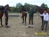 Three Bits & Bytes Farm horses in the Dixon family stable of Thoroughbreds