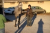 A June Affair Meets Her New Mom