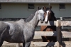 A June Affair making new friends with an ex-race horse