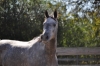 A June Affair at her new home in Tennessee