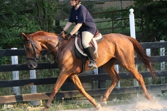 Allegiant in training Bits & Bytes Farm