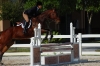austins-wolf_20091121_03