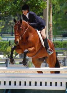 austins_wolf_20090426_01.jpg