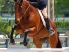 austins_wolf_20090426_01.jpg