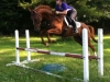 Breaking Free jumps an oxer in week one.