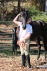 brother-ron_20101119_029