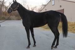 Brother Ron - Prospect Photos