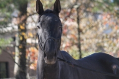 Brother Ron - Training @ Bits & Bytes Farm