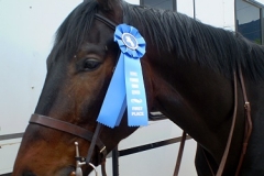 Fast Commander 2009