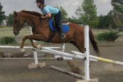 Golds Anatomy - August 2009