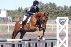 Golds Anatomy - June 2010