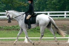 Grayboo 2006