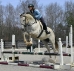 grayboo359_031806_37_395