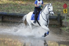 Grayboo 2007