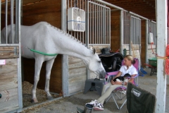 Grayboo 2008