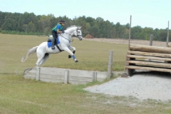Grayboo 2010
