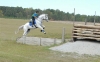 grayboo_20101115_007