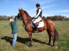 Heather\'s Best 2008-NJ-Horse-park-fall-horse-trials