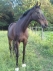 joe_may-18-2010