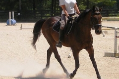 K O River Crossing - 2010