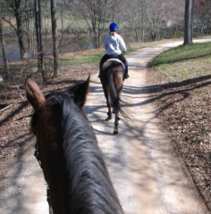 Joe Bear and Knight Villain