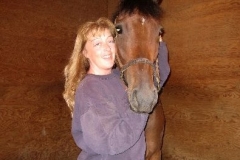 Little Silic - 2007 Prospect Horse