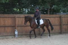 Little Silic - 2010 - September