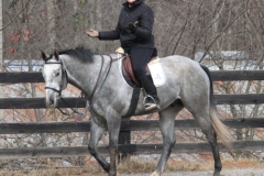 Monarch's Reign - Elizabeth