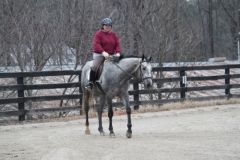 Monarch's Reign - January 2010