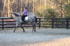 Monarch's Reign - Ride Two January 15