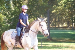 Punch - November 2009