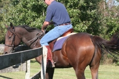 Rap It Up - 20091004