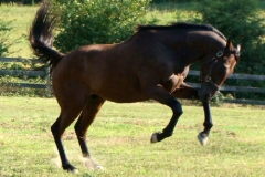 Rap It Up - 20090830