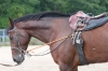 Tax Hike at her breeder\'s farm in NY