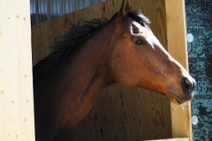 Tucks St Aly 20090412