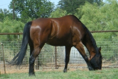 Tucks St. Aly 20090515