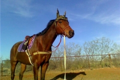 Tucks St Aly 20090411