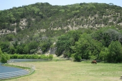 Wise Young Sage - 20090616