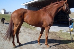 Wise Young Sage - Prospect Photos