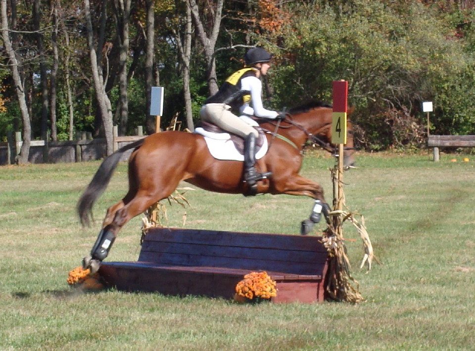 Heather's Best at the NJ Horse park fall horse trials 003t