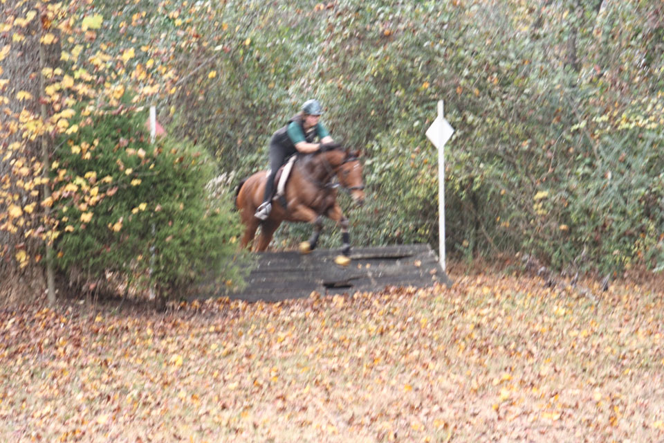 Heather's Best was a steeplechaser