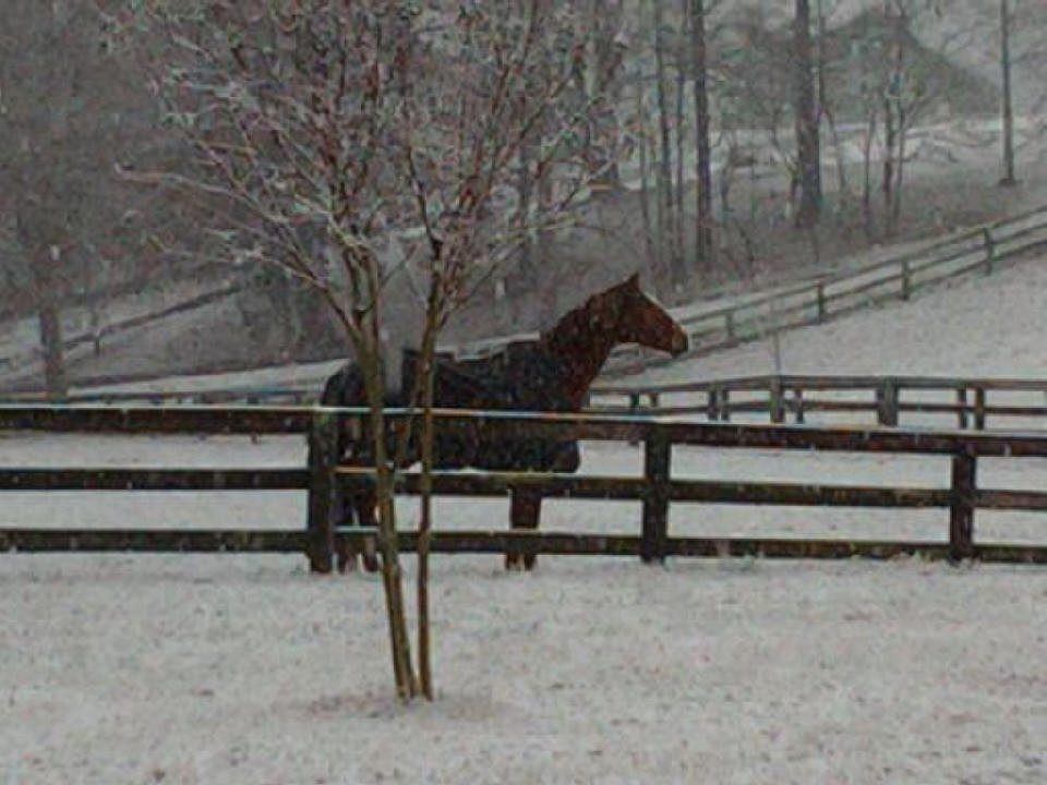 dr-kenny-win-20110110