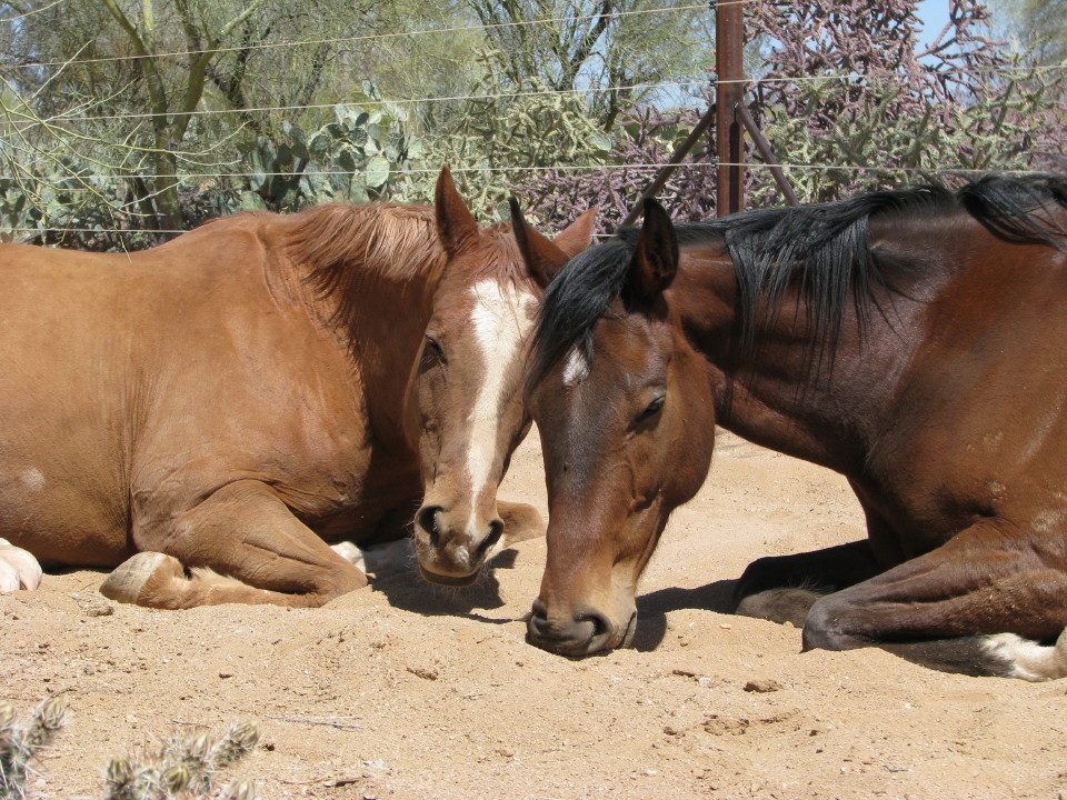 tax-hike_20110326_09