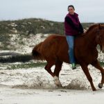 LIght Artillery galloping on the beach