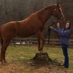 Baileysontherocks with his new mom Colbie