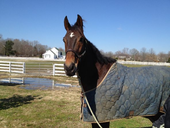 Gold Commander One - February 19, 2012