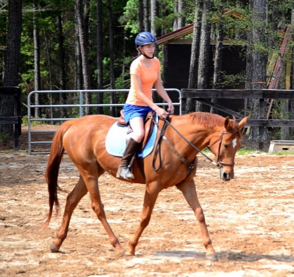 Off-the-track Thoroughbred Allegiant -2012-04-03