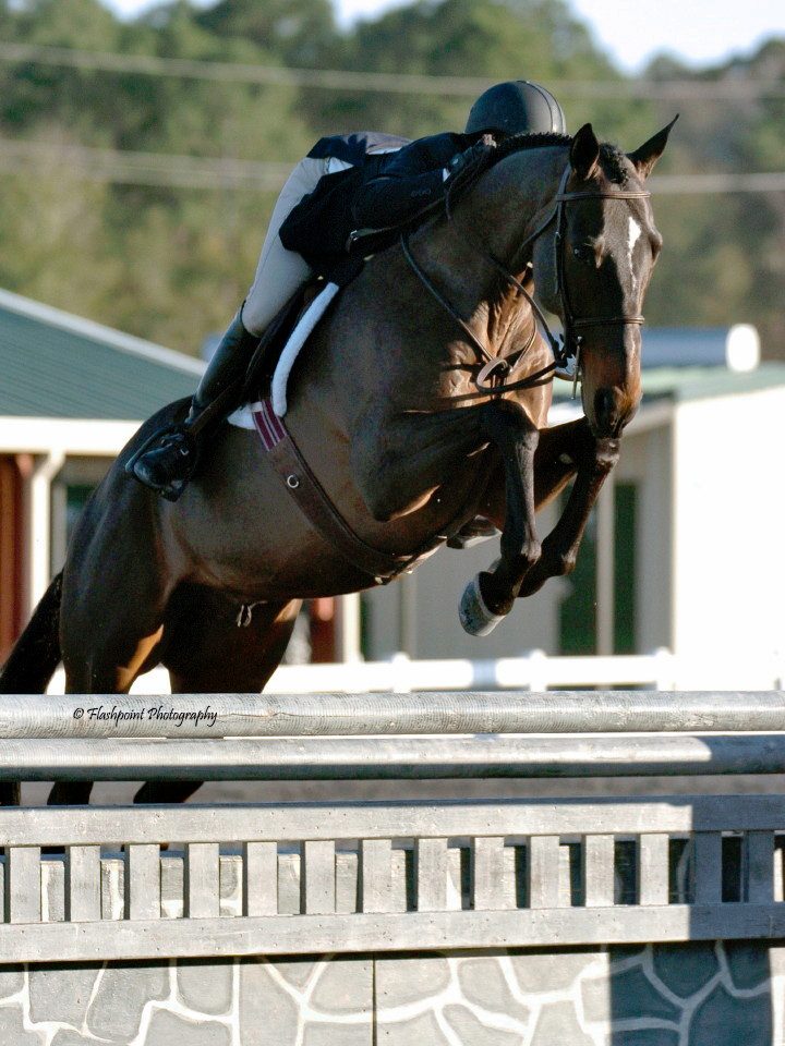 XPress_1155_OConnell_AnAmericanSoldier_JaimeGibson_USHJAHunterClassic