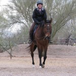 Tax Hike - Thoroughbred sold by Bits & Bytes Farm