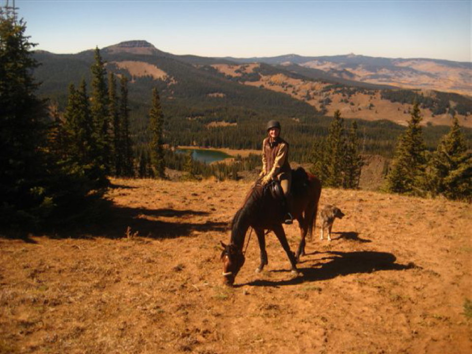 Trail Riding Off-the-Track Thoroughbred Tillo in Colorado
